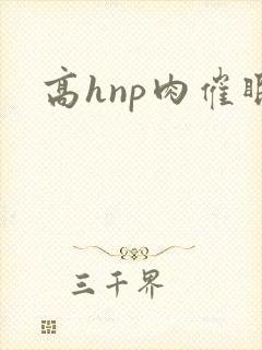 高hnp肉催眠