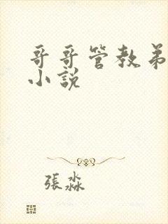哥哥管教弟弟的小说