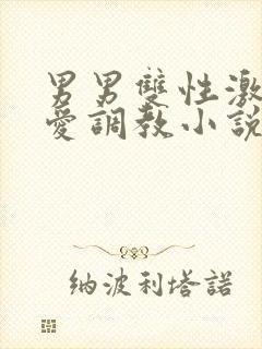 男男双性激情爱爱调教小说