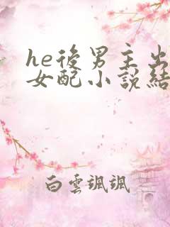 he后男主出轨女配小说结局