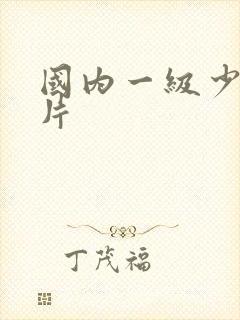 国内一级少妇淫片