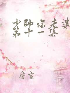 少帅你老婆又跑第十一集