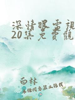 深情眼电视剧第20集免费观看