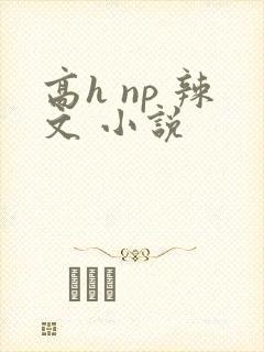 高h np 辣文 小说