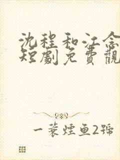 沈程和江念姿的短剧免费观看