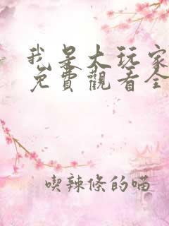 我是大玩家动漫免费观看全集