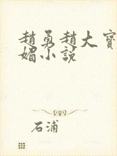 赵勇赵大宝和苏媚小说