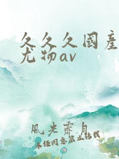 久久久国产精品尤物av