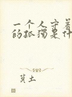 一个人守着孤单的孤独是什么歌