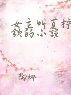 女主叫夏柠宋少钦的小说