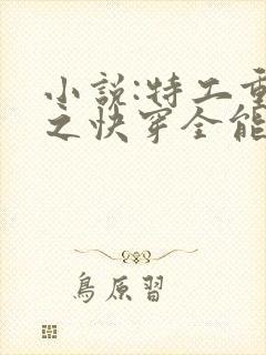 小说:特工重生之快穿全能女神