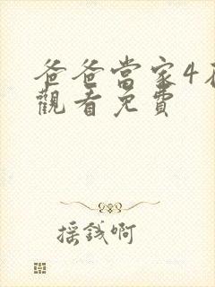 爸爸当家4在线观看免费