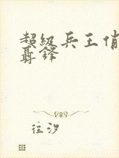 超级兵王俏总裁聂锋