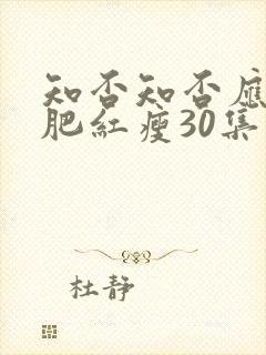 知否知否应是绿肥红瘦30集