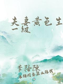 夫妻黄色生活片一级