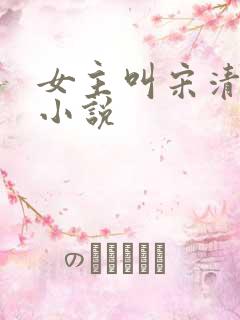 女主叫宋清欢的小说