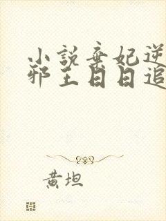 小说弃妃逆袭:邪王日日追妻忙阅读