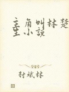 主角叫林楚的重生小说