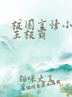 校园言情小说男主校霸