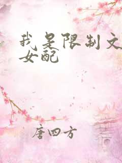 我是限制文恶毒女配
