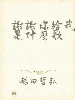 谢谢你给我的爱是什么歌