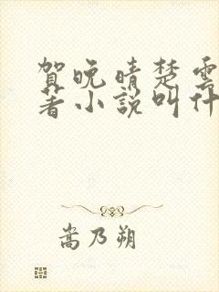 贺晚晴楚云深原著小说叫什么名字