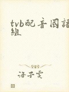 tvb配音国语组