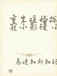 重生暖婚总裁甜宠小影后 小说