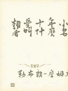 相爱十年小说原著叫什么名字
