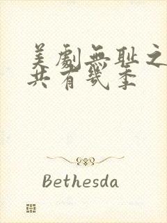 美剧无耻之徒一共有几季