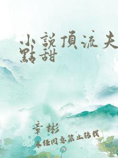 小说顶流夫妇有点甜