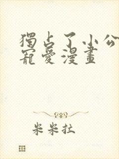 独占了小公主的宠爱漫画