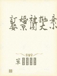 订婚被抛弃转身娶京圈大小姐短剧