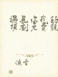 遇见你我的爱电视剧免费观看全集