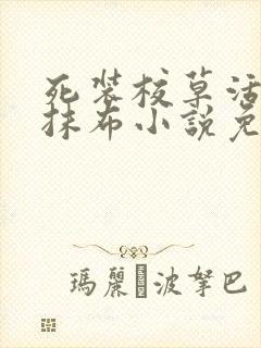 死装校草活该被抹布小说免费阅读完整