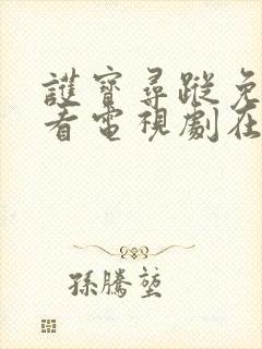 护宝寻踪免费观看电视剧在线看