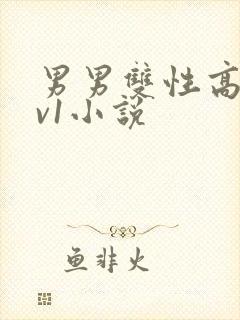 男男双性高h1v1小说