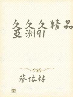 久久久精品国产亚洲91