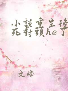 小说重生后我跟死对头he了全文