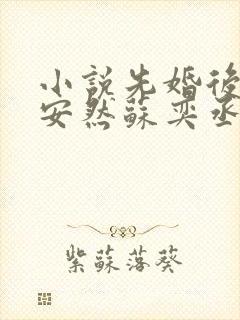 小说先婚后爱顾安然苏奕丞