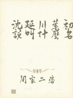 沈延川叶初裳小说叫什么名字