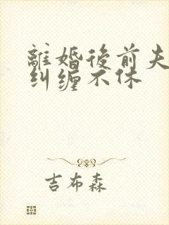 离婚后前夫对我纠缠不休