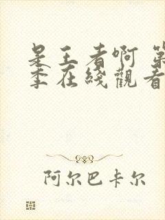 是王者啊 第1季在线观看全集免费播放