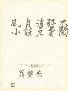 风月消弭不忆君小说免费阅读