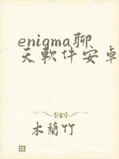 enigma聊天软件安卓