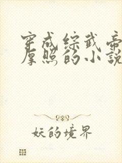 穿成综武帝皇朱厚照的小说