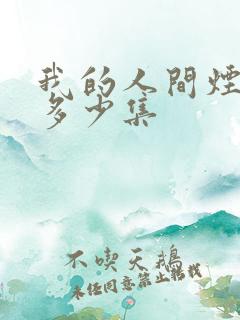 我的人间烟火有多少集