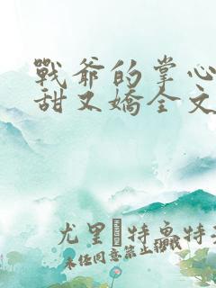 战爷的掌心宠又甜又娇全文txt下载