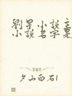 刘星小说主角的小说名字是什么