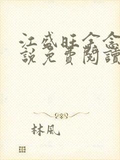 江盛旺余念安小说免费阅读最新章节